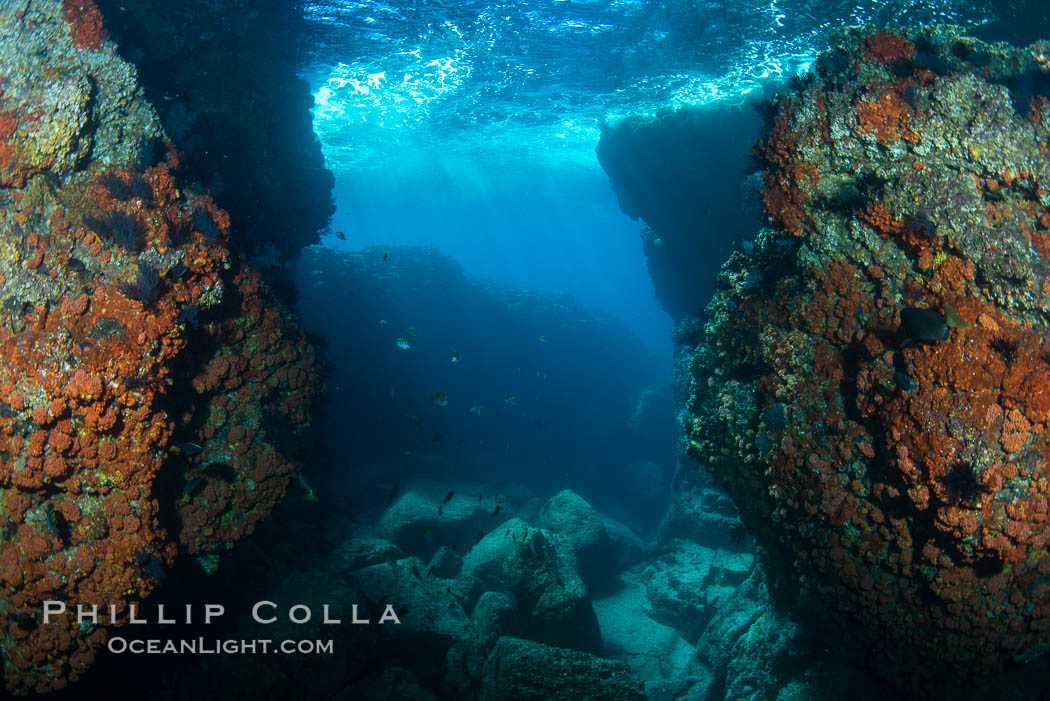 The Tunnel at Los Islotes, Sea of Cortez. Baja California, Mexico, natural history stock photograph, photo id 33827