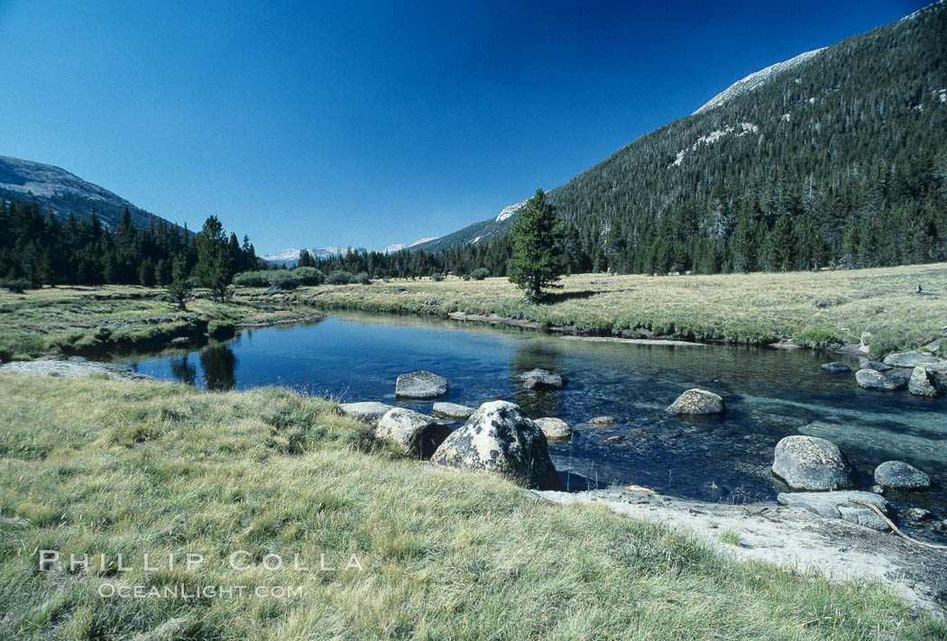 Tuolumne Meadows. Yosemite National Park, California, USA, natural history stock photograph, photo id 05440