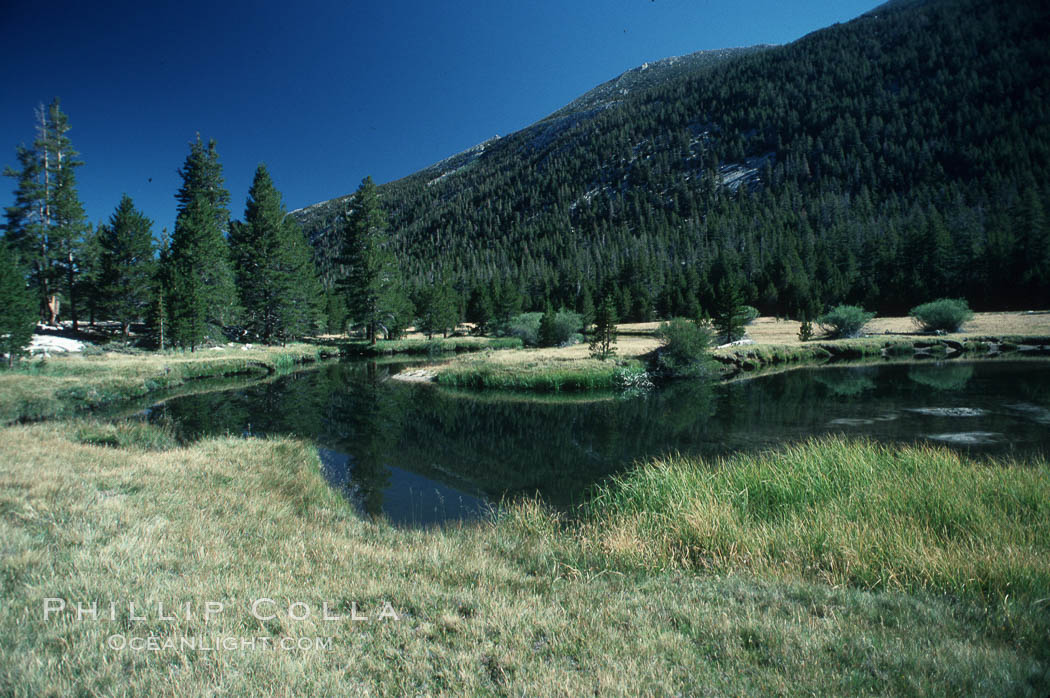 Tuolumne Meadows. Yosemite National Park, California, USA, natural history stock photograph, photo id 05439