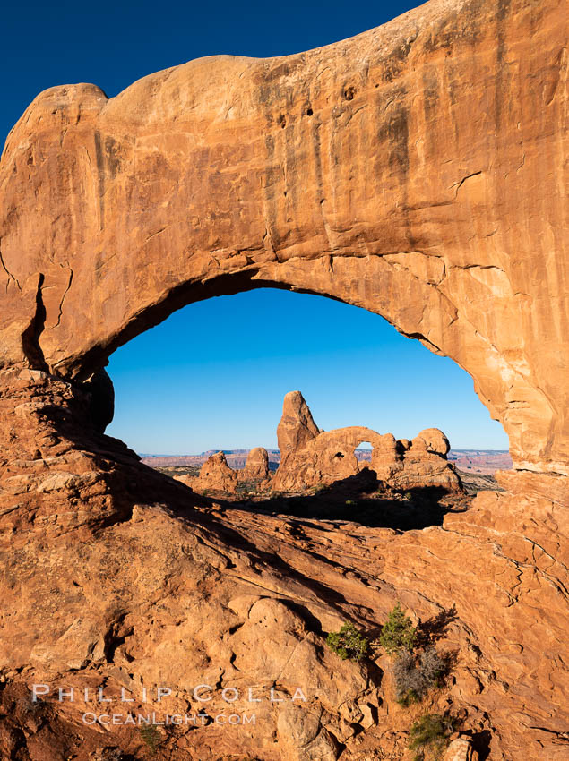 Turret Arch viewed through North Window at Sunrise. Arches National Park, Utah, USA, natural history stock photograph, photo id 37861