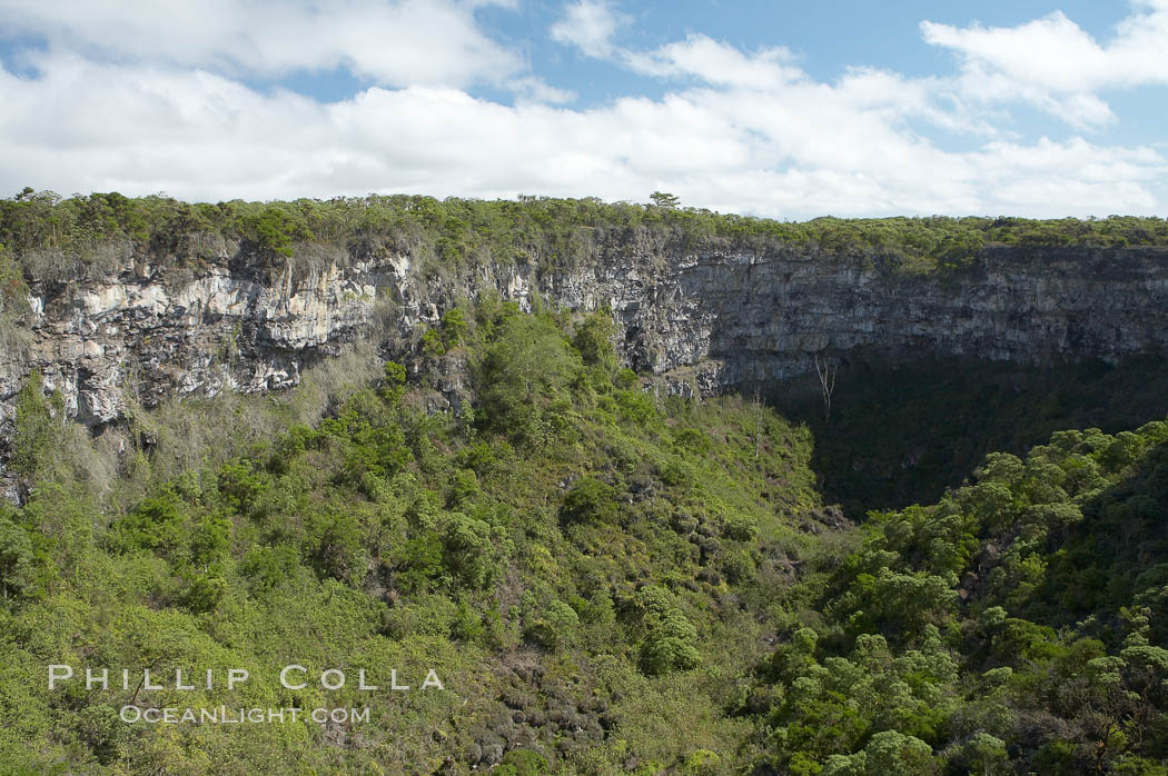 Twin Craters, Los Gemelos, Santa Cruz Island, Galapagos Islands, Ecuador