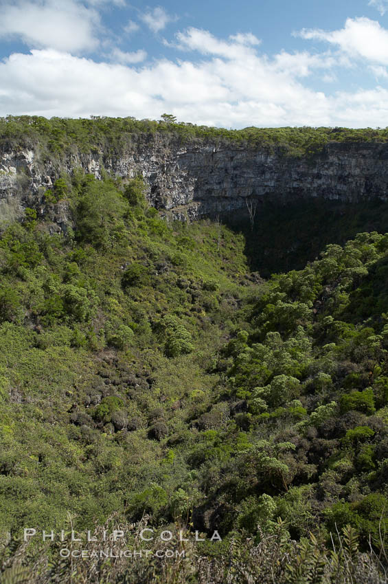 Volcanic sinkhole Los Gemelos, highlands of Santa Cruz Island, also known as Twin Craters. Galapagos Islands, Ecuador, natural history stock photograph, photo id 16707