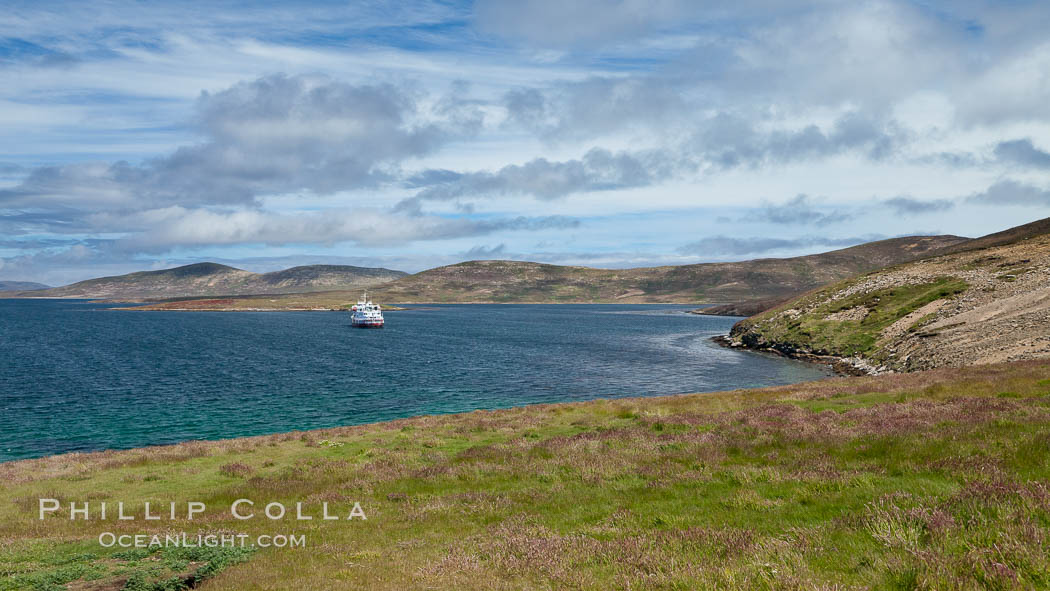Typical grasslands of the Falkland Islands, with icebreak ship M/V Polar Star at anchor just offshore. New Island, United Kingdom, natural history stock photograph, photo id 23805