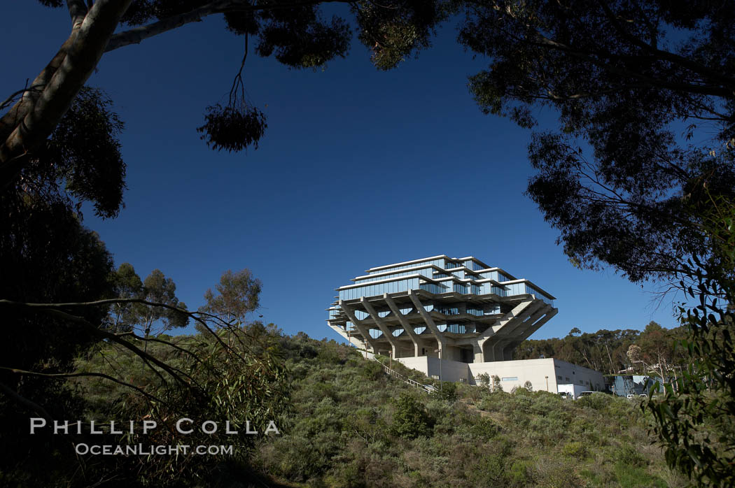 The UCSD Library (Geisel Library, UCSD Central Library) at the University of California, San Diego.  UCSD Library.  La Jolla, California.  On December 1, 1995 The University Library Building was renamed Geisel Library in honor of Audrey and Theodor Geisel (Dr. Seuss) for the generous contributions they have made to the library and their devotion to improving literacy.  In The Tower, Floors 4 through 8 house much of the Librarys collection and study space, while Floors 1 and 2 house service desks and staff work areas.  The library, designed in the late 1960s by William Pereira, is an eight story, concrete structure sited at the head of a canyon near the center of the campus. The lower two stories form a pedestal for the six story, stepped tower that has become a visual symbol for UCSD. USA, natural history stock photograph, photo id 11284
