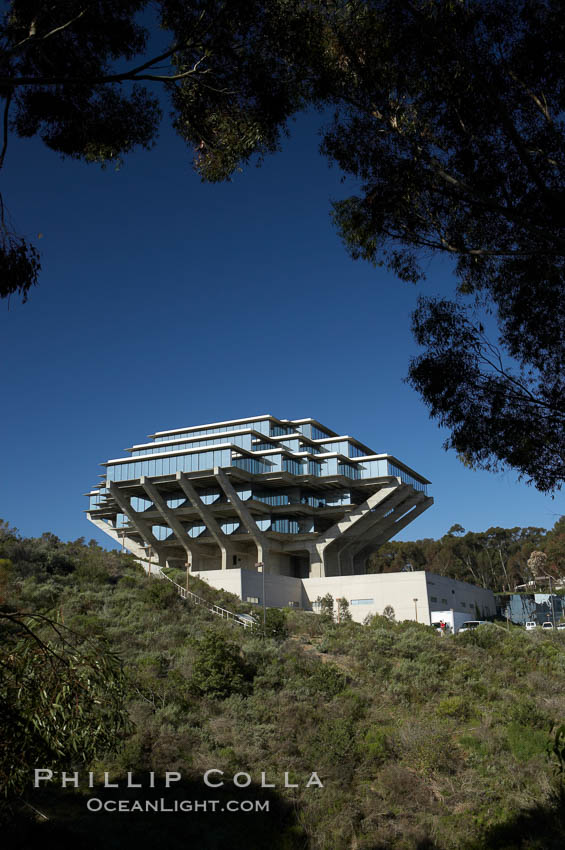 The UCSD Library (Geisel Library, UCSD Central Library) at the University of California, San Diego.  UCSD Library.  La Jolla, California.  On December 1, 1995 The University Library Building was renamed Geisel Library in honor of Audrey and Theodor Geisel (Dr. Seuss) for the generous contributions they have made to the library and their devotion to improving literacy.  In The Tower, Floors 4 through 8 house much of the Librarys collection and study space, while Floors 1 and 2 house service desks and staff work areas.  The library, designed in the late 1960s by William Pereira, is an eight story, concrete structure sited at the head of a canyon near the center of the campus. The lower two stories form a pedestal for the six story, stepped tower that has become a visual symbol for UCSD. USA, natural history stock photograph, photo id 11283