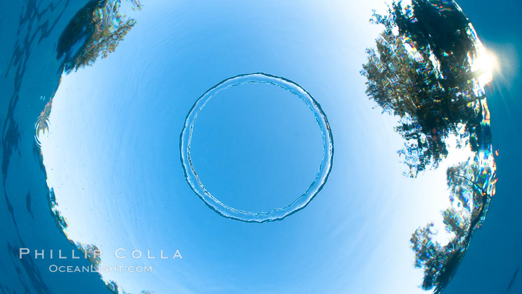 Underwater bubble ring, a stable toroidal pocket of air., natural history stock photograph, photo id 27054