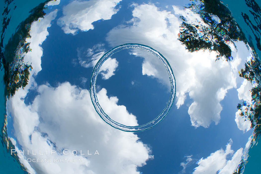 Underwater bubble ring, a stable toroidal pocket of air., natural history stock photograph, photo id 25283