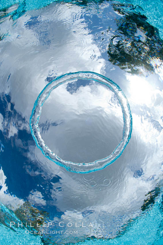 Underwater bubble ring, a stable toroidal pocket of air., natural history stock photograph, photo id 25285