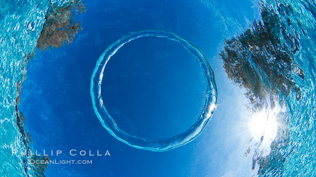 Underwater bubble ring, a stable toroidal pocket of air., natural history stock photograph, photo id 27061