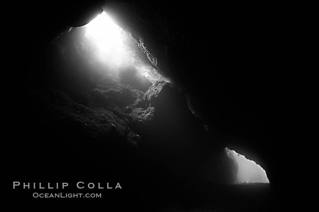 A submarine cavern at Santa Barbara Island, underwater. California, USA, natural history stock photograph, photo id 23494