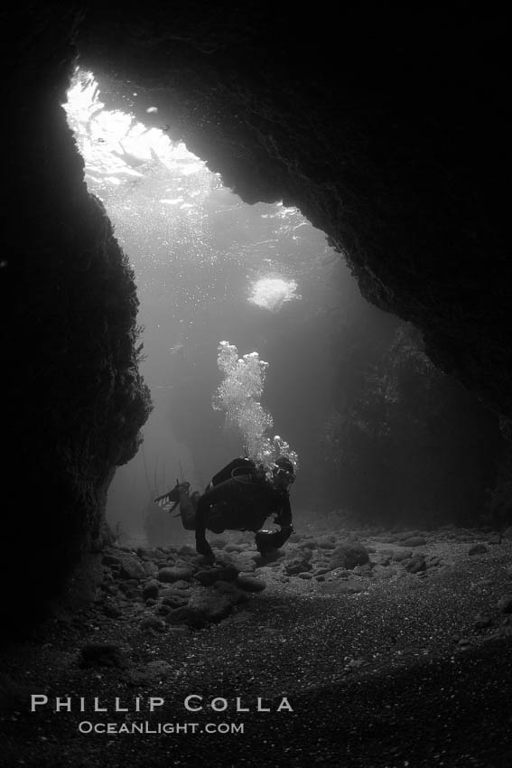 A SCUBA diver enters a submarine cavern at Santa Barbara Island, underwater cave. California, USA, natural history stock photograph, photo id 23423