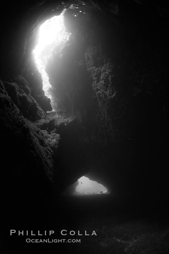 A submarine cavern at Santa Barbara Island, underwater. California, USA, natural history stock photograph, photo id 23505