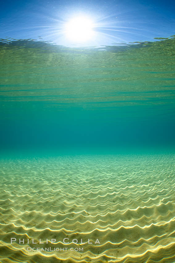 Underwater Light and Sand, Lake Tahoe, Nevada. USA, natural history stock photograph, photo id 32346