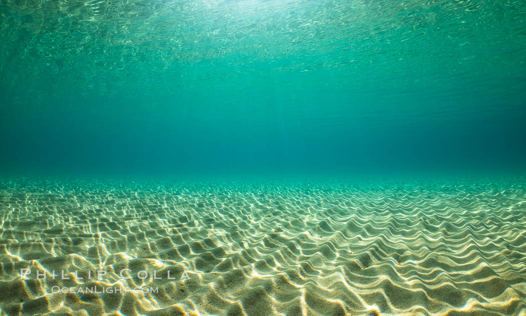 Underwater Light and Sand, Lake Tahoe, Nevada. USA, natural history stock photograph, photo id 32348