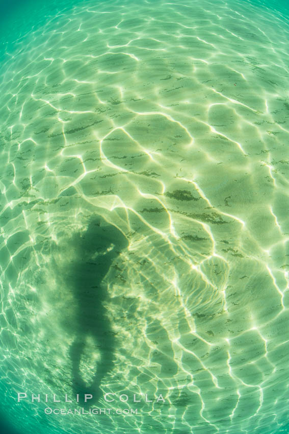 Underwater Light and Sand, Lake Tahoe, Nevada. USA, natural history stock photograph, photo id 32356