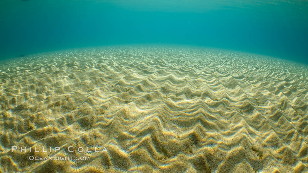 Underwater Light and Sand, Lake Tahoe, Nevada. USA, natural history stock photograph, photo id 32347