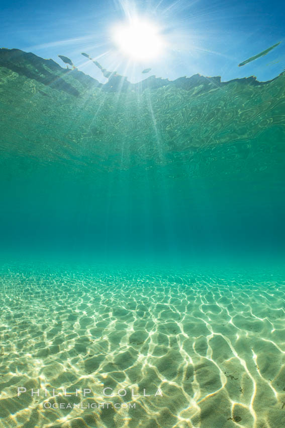 Boulders underwater, Lake Tahoe, Nevada. USA, natural history stock photograph, photo id 32349