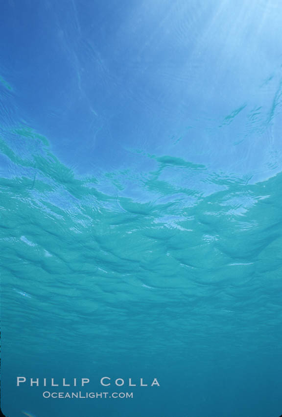 Water and light. Sea of Cortez, La Paz, Baja California, Mexico, natural history stock photograph, photo id 04772