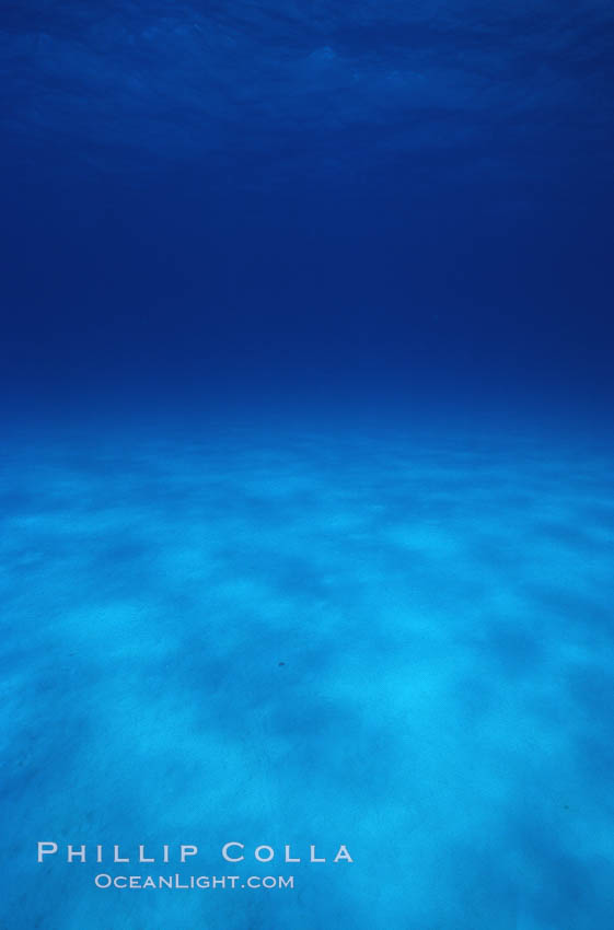 Sand, water and light. Bahamas, natural history stock photograph, photo id 05660