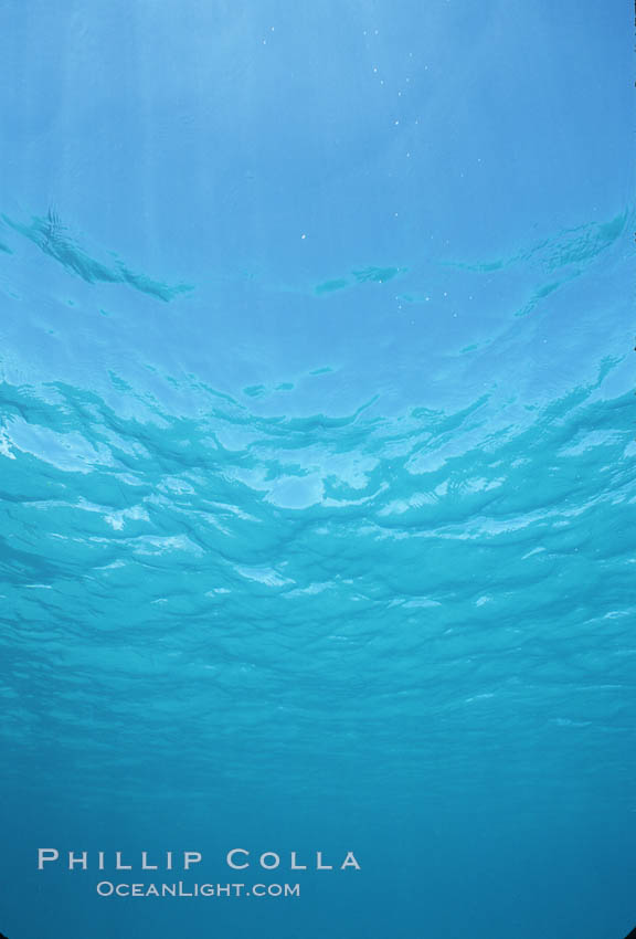 Water and light. Sea of Cortez, La Paz, Baja California, Mexico, natural history stock photograph, photo id 04767