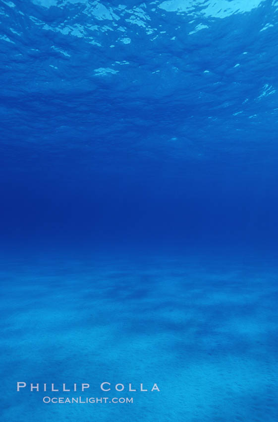 Sand, water and light. Bahamas, natural history stock photograph, photo id 05663