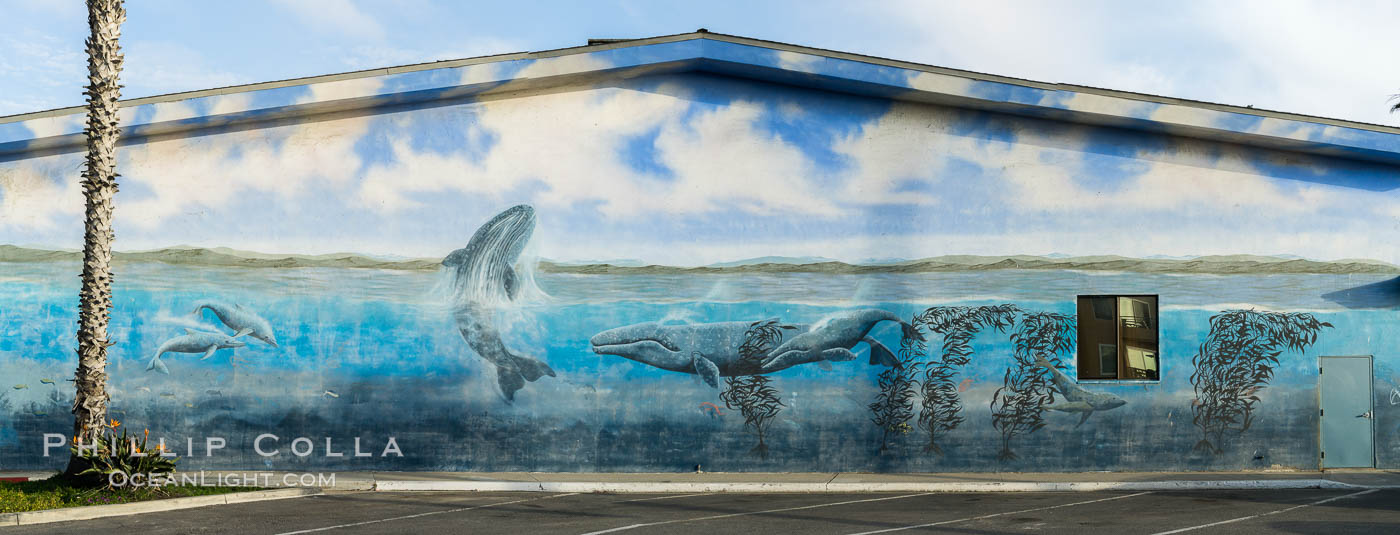 Underwater mural at Oceanside Pier. California, USA, natural history stock photograph, photo id 29122