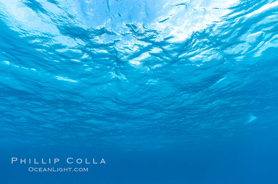 Sunlight and clouds are visible through the clear ocean waters of the Northern Bahamas., natural history stock photograph, photo id 10870