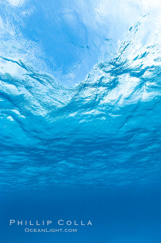 Sunlight and clouds are visible through the clear ocean waters of the Northern Bahamas., natural history stock photograph, photo id 10871