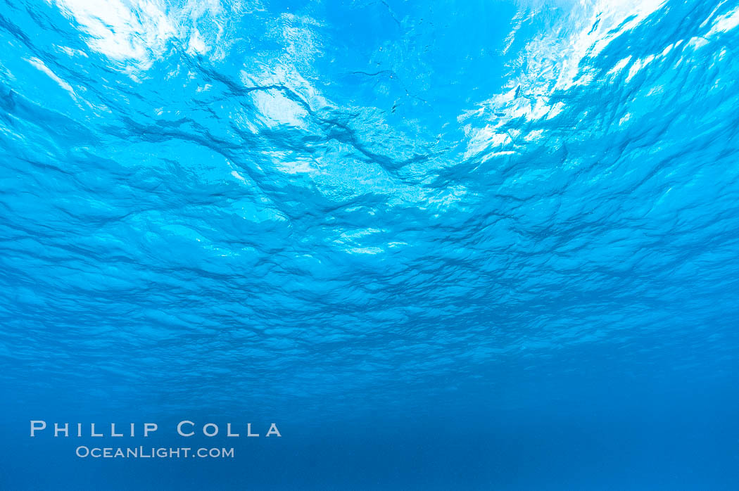 Sunlight and clouds are visible through the clear ocean waters of the Northern Bahamas., natural history stock photograph, photo id 10869