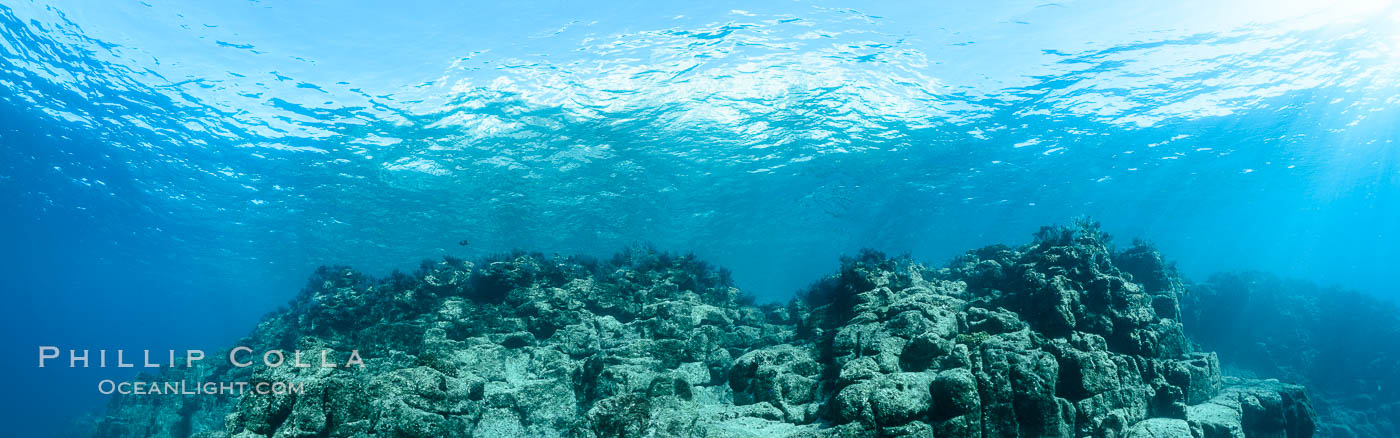 Underwater Panorama of Reef at Los Islotes, Sea of Cortez. Baja California, Mexico, natural history stock photograph, photo id 32583