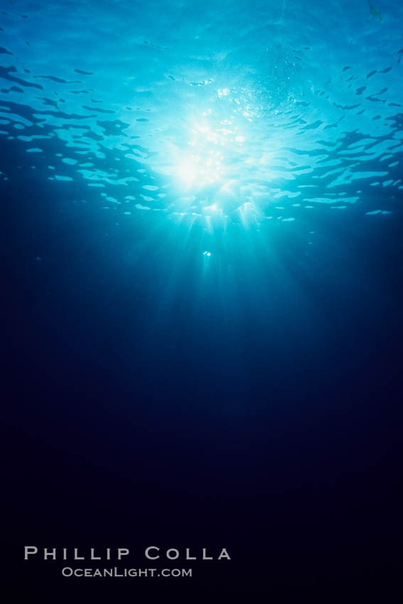 Sunlight filters through the ocean surface and penetrates to the depths below. Bahamas, natural history stock photograph, photo id 05670