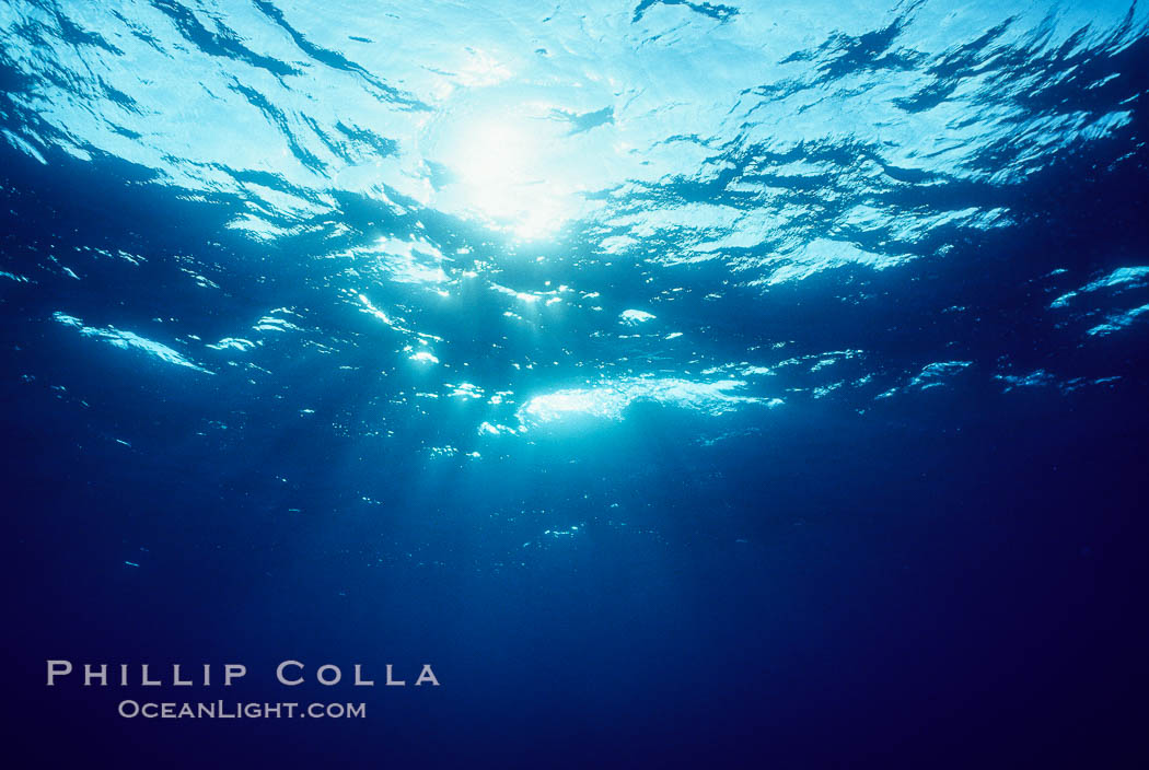 The ocean surface, seen from underwater, ripples with waves and wind and bright sunlight. Bahamas, natural history stock photograph, photo id 05671