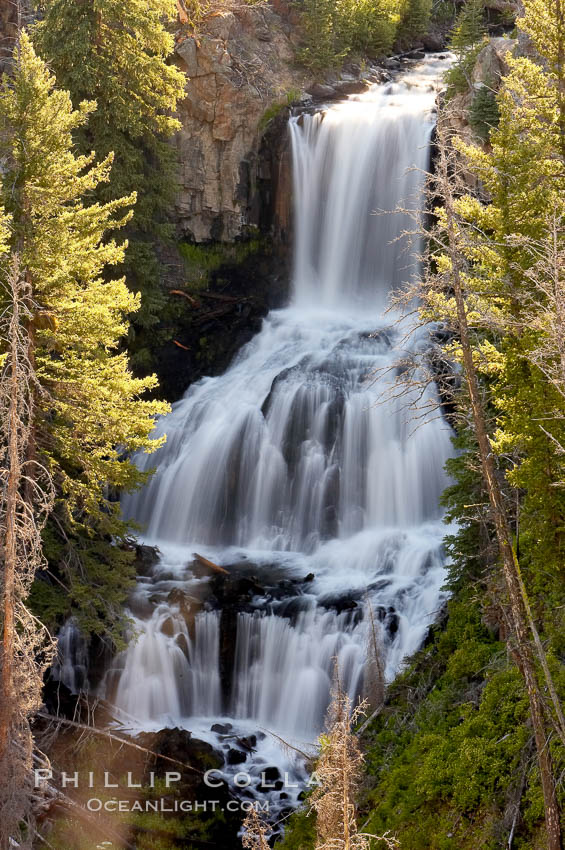 Undine Falls, between Mammoth and Tower in Yellowstone National Park, marks where Lava Creek drops 110 feet in two sections. Wyoming, USA, natural history stock photograph, photo id 13304
