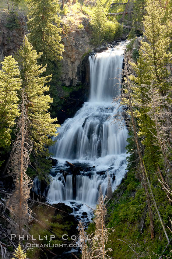 Undine Falls, between Mammoth and Tower in Yellowstone National Park, marks where Lava Creek drops 110 feet in two sections. Wyoming, USA, natural history stock photograph, photo id 13308