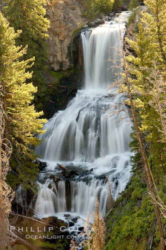Undine Falls, between Mammoth and Tower in Yellowstone National Park, marks where Lava Creek drops 110 feet in two sections. Wyoming, USA, natural history stock photograph, photo id 13307
