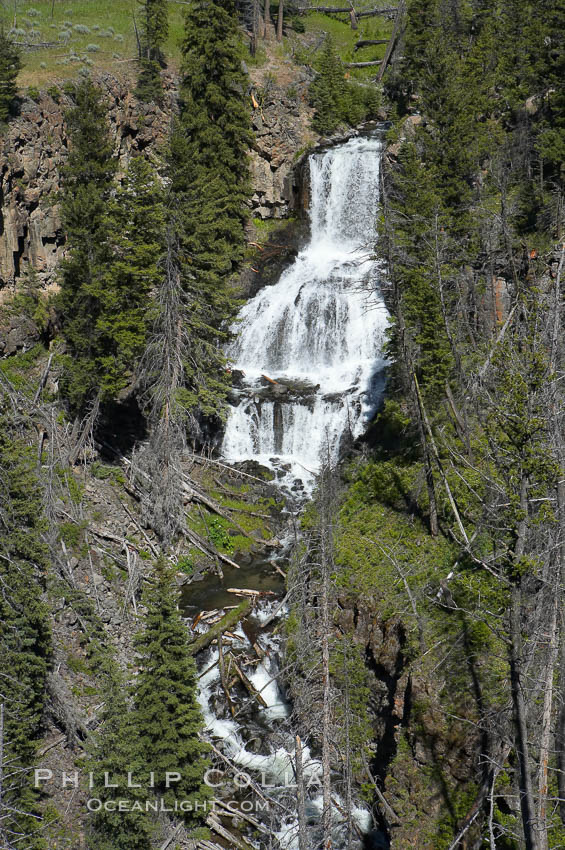 Undine Falls, between Mammoth and Tower in Yellowstone National Park, marks where Lava Creek drops 110 feet in two sections. Wyoming, USA, natural history stock photograph, photo id 13305