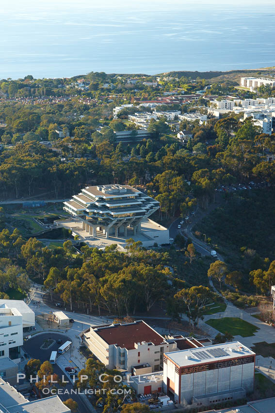 University of California San Diego, with Geisel Library (UCSD Main library) seen amid a grove of eucalyptus trees, with the Pacific Ocean in the distance. La Jolla, USA, natural history stock photograph, photo id 22414