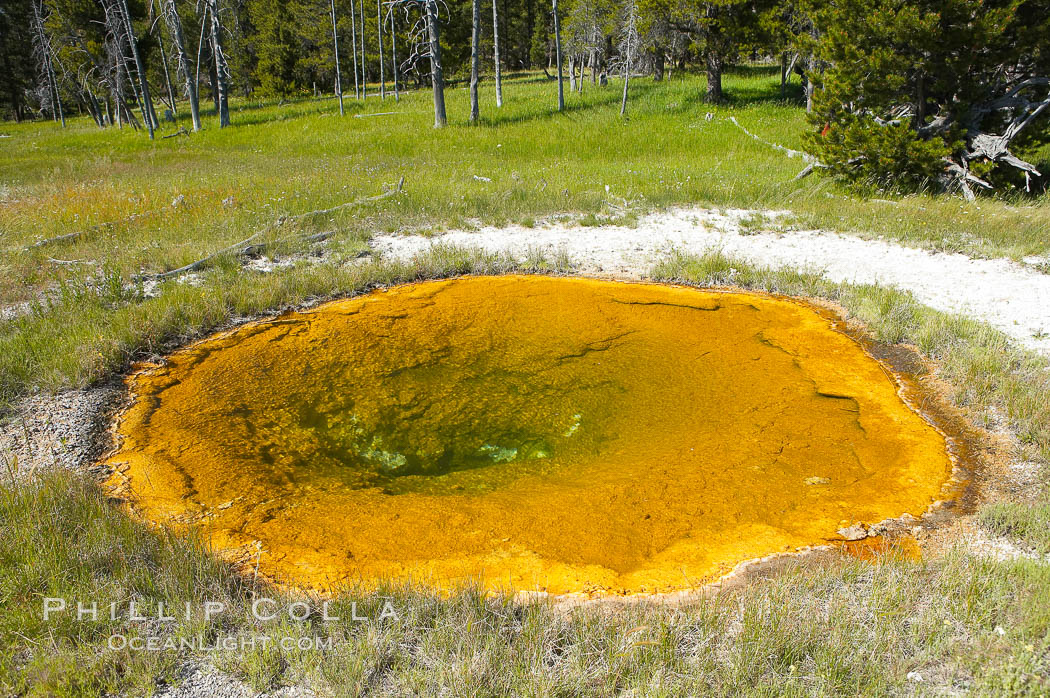 Unnamed spring or pool, Geyser Hill. Upper Geyser Basin, Yellowstone National Park, Wyoming, USA, natural history stock photograph, photo id 13415