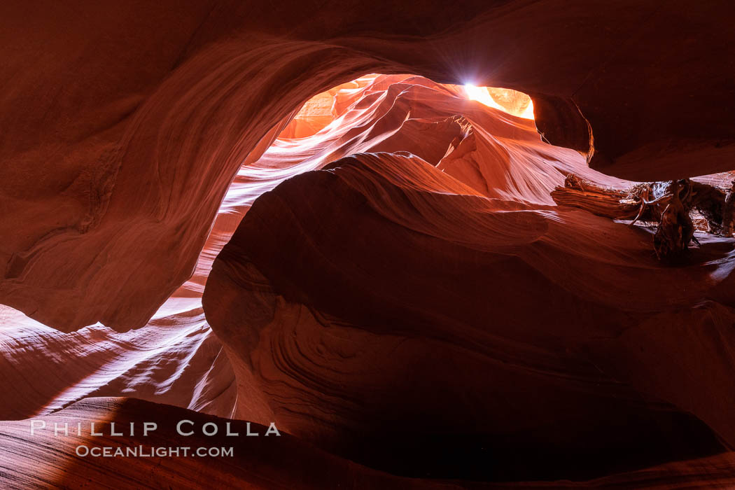 Upper Antelope Canyon, a deep, narrow and spectacular slot canyon lying on Navajo Tribal lands near Page, Arizona. Navajo Tribal Lands, USA, natural history stock photograph, photo id 35938