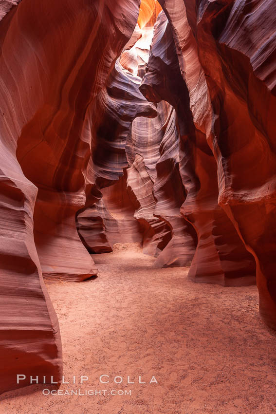 Antelope Canyon, a deep narrow slot canyon formed by water and wind erosion. Navajo Tribal Lands, Page, Arizona, USA, natural history stock photograph, photo id 17990