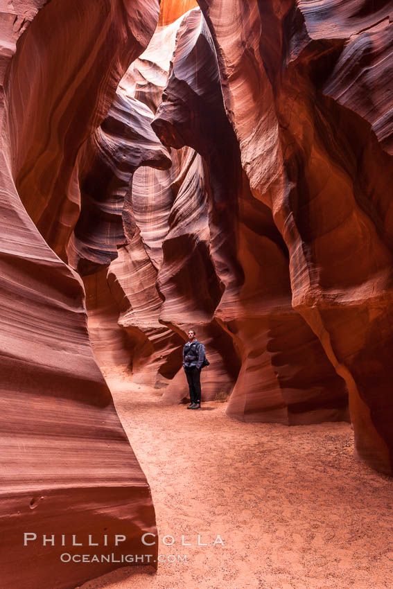 A hiker admiring the striated walls and dramatic light within Antelope Canyon, a deep narrow slot canyon formed by water and wind erosion. Navajo Tribal Lands, Page, Arizona, USA, natural history stock photograph, photo id 18006