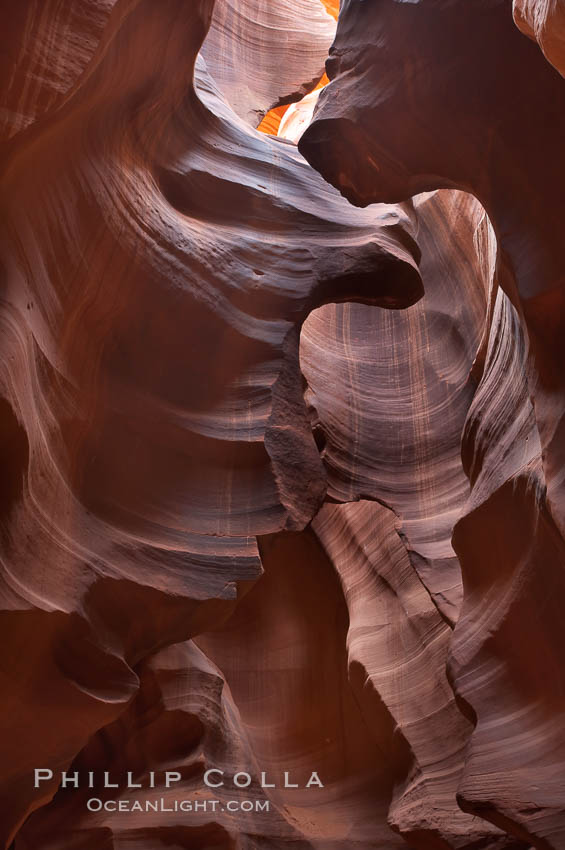 Antelope Canyon, a deep narrow slot canyon formed by water and wind erosion. Navajo Tribal Lands, Page, Arizona, USA, natural history stock photograph, photo id 18014