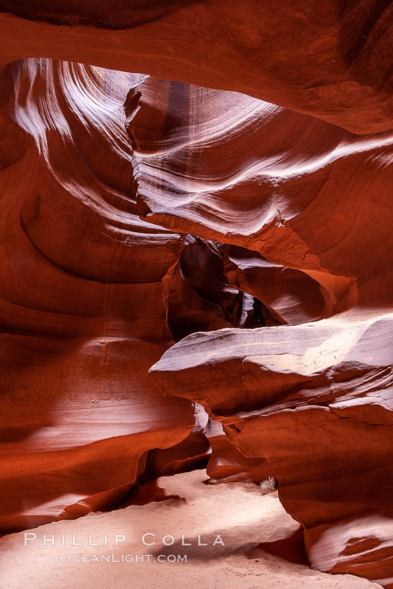 Antelope Canyon, a deep narrow slot canyon formed by water and wind erosion. Navajo Tribal Lands, Page, Arizona, USA, natural history stock photograph, photo id 17992