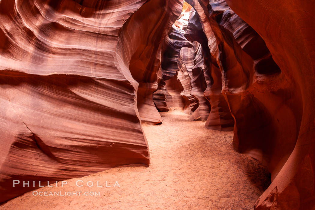 Antelope Canyon, a deep narrow slot canyon formed by water and wind erosion. Navajo Tribal Lands, Page, Arizona, USA, natural history stock photograph, photo id 18028