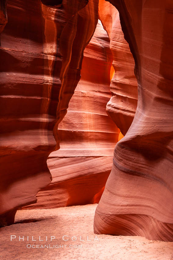 Antelope Canyon, a deep narrow slot canyon formed by water and wind erosion. Navajo Tribal Lands, Page, Arizona, USA, natural history stock photograph, photo id 17999