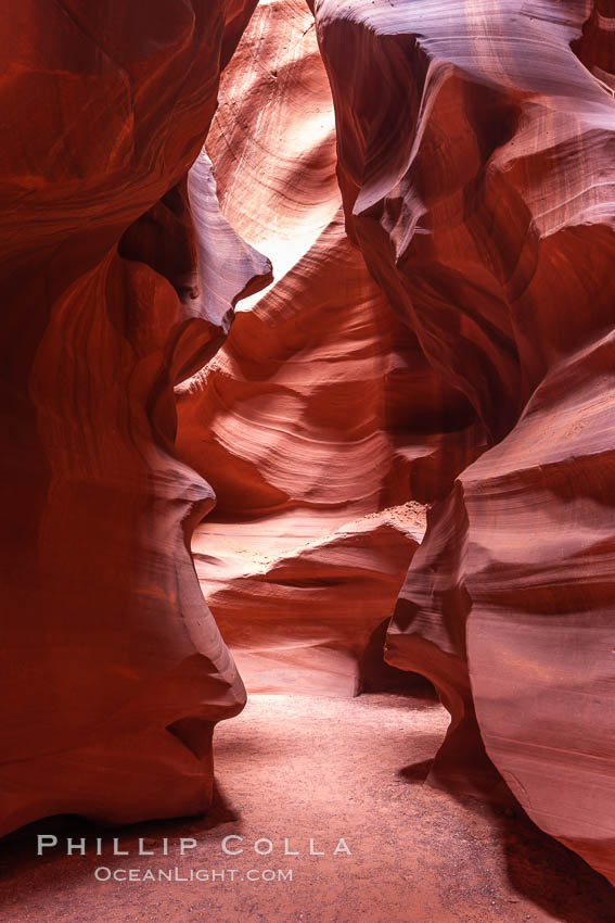 Antelope Canyon, a deep narrow slot canyon formed by water and wind erosion. Navajo Tribal Lands, Page, Arizona, USA, natural history stock photograph, photo id 17989