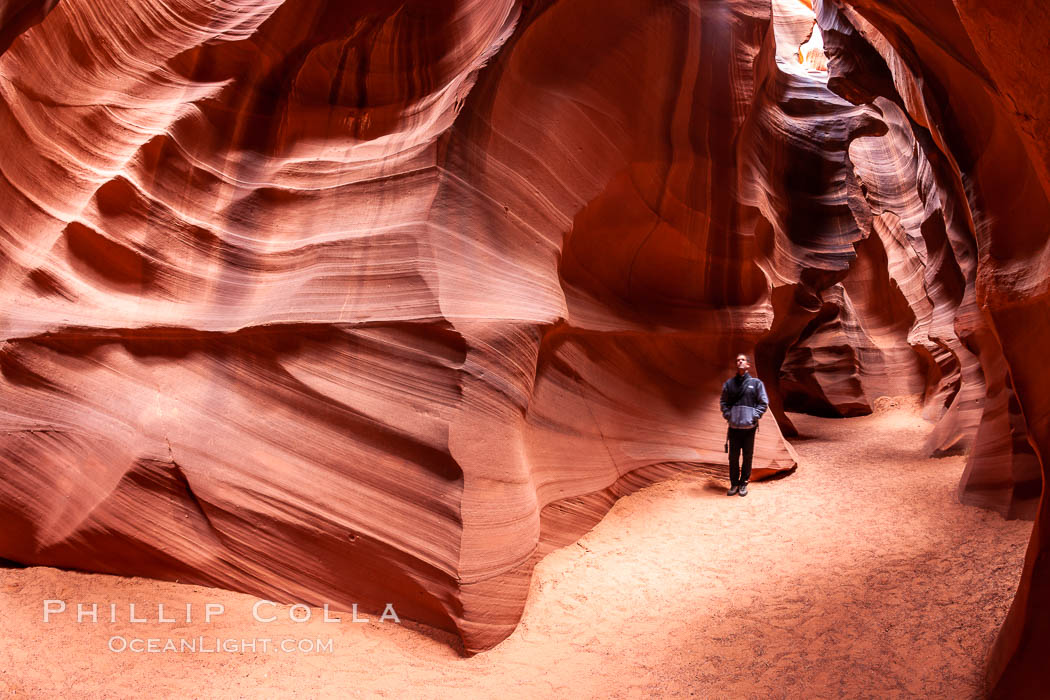 Image 17997, A hiker admiring the striated walls and dramatic light within Antelope Canyon, a deep narrow slot canyon formed by water and wind erosion. Navajo Tribal Lands, Page, Arizona, USA, Phillip Colla, all rights reserved worldwide. Keywords: adventure, antelope canyon, arizona, backpacking, camping, canyon, desert, environment, erosion, explore, geologic features, geology, gulch, hiker, hiking, landscape, narrow, nature, navaho, navajo tribal lands, page, ravine, sandstone, slot, slot canyon, trail, tribal, upper antelope canyon, usa.