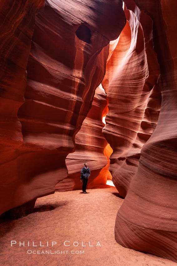 Image 18005, A hiker admiring the striated walls and dramatic light within Antelope Canyon, a deep narrow slot canyon formed by water and wind erosion. Navajo Tribal Lands, Page, Arizona, USA, Phillip Colla, all rights reserved worldwide. Keywords: adventure, antelope canyon, arizona, backpacking, camping, canyon, desert, environment, erosion, explore, geologic features, geology, gulch, hiker, hiking, landscape, narrow, nature, navaho, navajo tribal lands, page, ravine, sandstone, slot, slot canyon, trail, tribal, upper antelope canyon, usa.