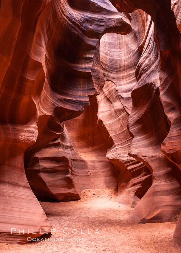 Antelope Canyon, a deep narrow slot canyon formed by water and wind erosion. Navajo Tribal Lands, Page, Arizona, USA, natural history stock photograph, photo id 18013