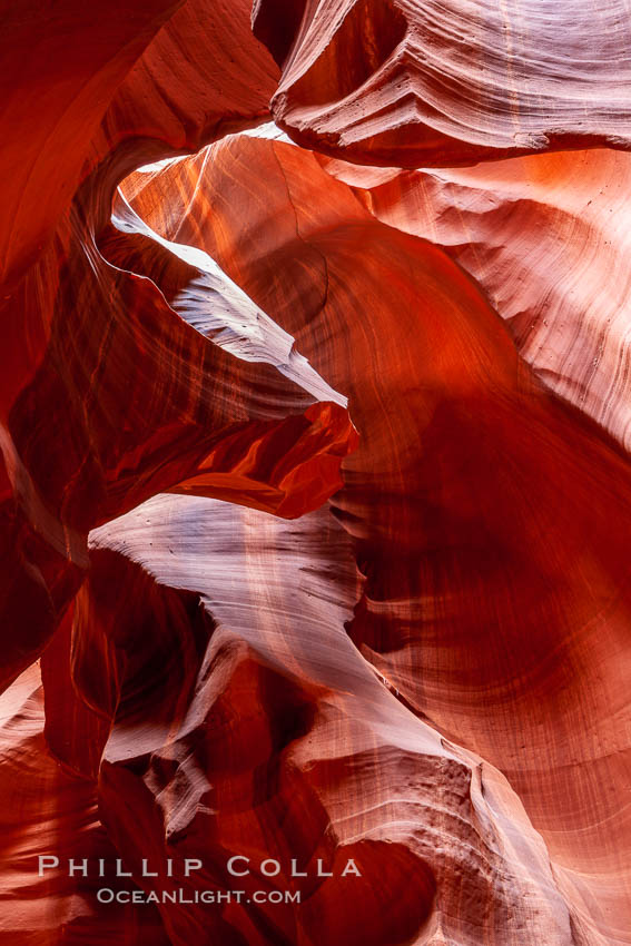 Antelope Canyon, a deep narrow slot canyon formed by water and wind erosion. Navajo Tribal Lands, Page, Arizona, USA, natural history stock photograph, photo id 18017